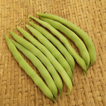 Bush Snap Bean, Alice Sunshine (Organic)