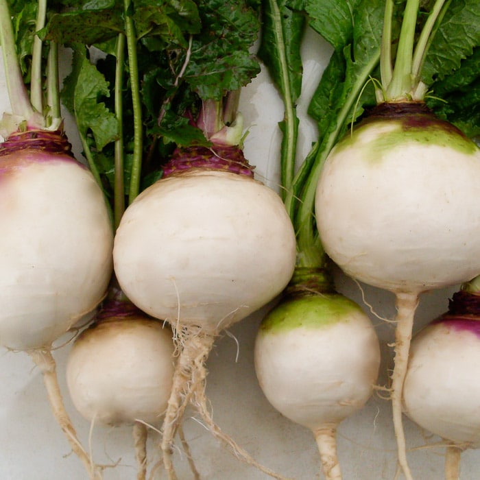 Turnip, Aprovecho Hardy (Organic)