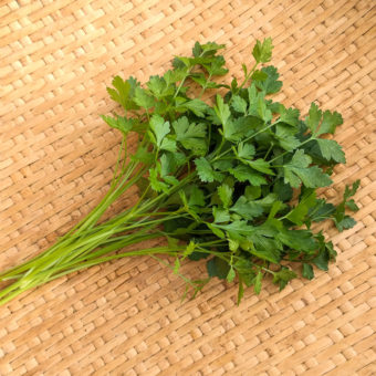 Cilician Parsley Organic Cilician Parsley Seed