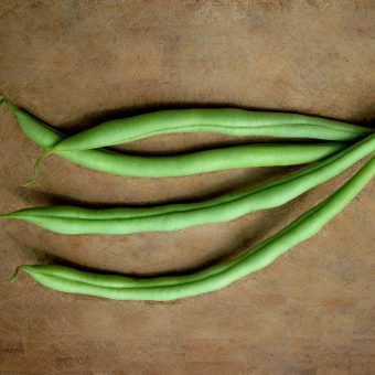 Organic Cupidon bush snap bean Seed
