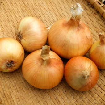 Maria Nagy Transylvanian Yellow Onion