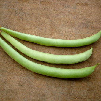 marona bush snap bean