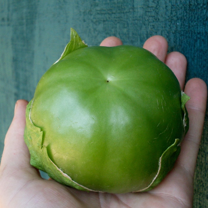 Plaza Latina Giant Green Tomatillo