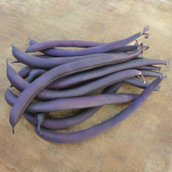 Roberts Royalty Beans