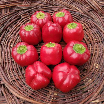 Sunnybrook Pimento Sweet Pepper