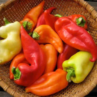 Organic Bácskai Fehér Sweet Pepper, Bacskai Feher seeds