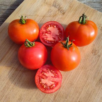 Organic Early Willamette Tomato Seed