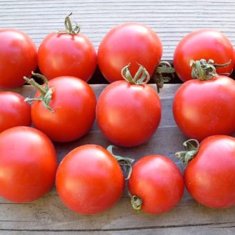 Tomato Deutsche Fleiss