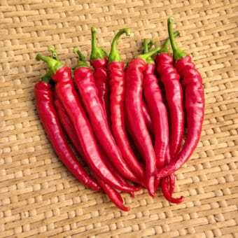 Organic Maria Nagy's Transylvanian Hot Pepper seeds