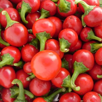 Szentesi Hot Cherry Organic Szentesi Cherry Hot Pepper seed