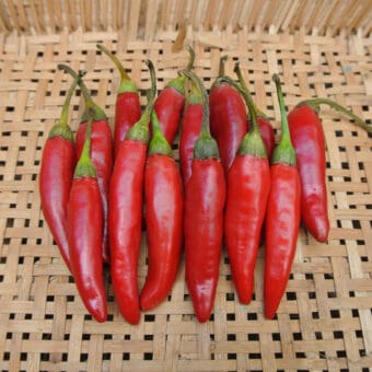 Organic Târgu Mureş Targu Mures seed