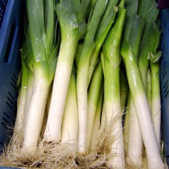 Leek, Verdonnet