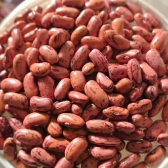 Pole Dry Bean, Diecimino (Organic)
