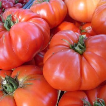 Tomato, Astrakhanskie