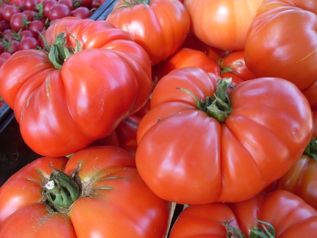 Tomato, Astrakhanskie
