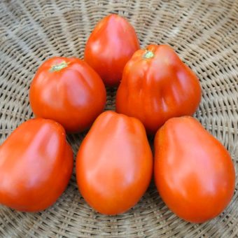 Tomato, Belmonte Pear (Organic)
