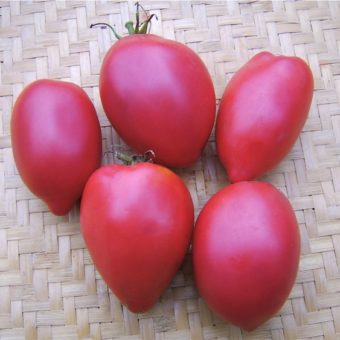 Tomato, Iraqi Heart