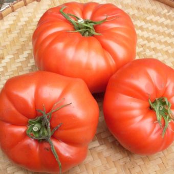 Organic Pusztakolosz Tomato Seed
