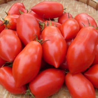 Tomato, Ropreco