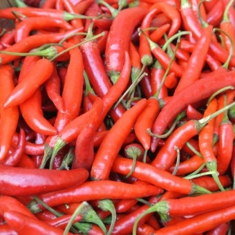 Hot Pepper, Adaptive Early Thai Grex (Organic) Hot Pepper, Adaptive Early Thai Grex (Organic)