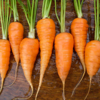 Red Core Chantenay Carrot Organic Red Core Chantenay Carrot seeds