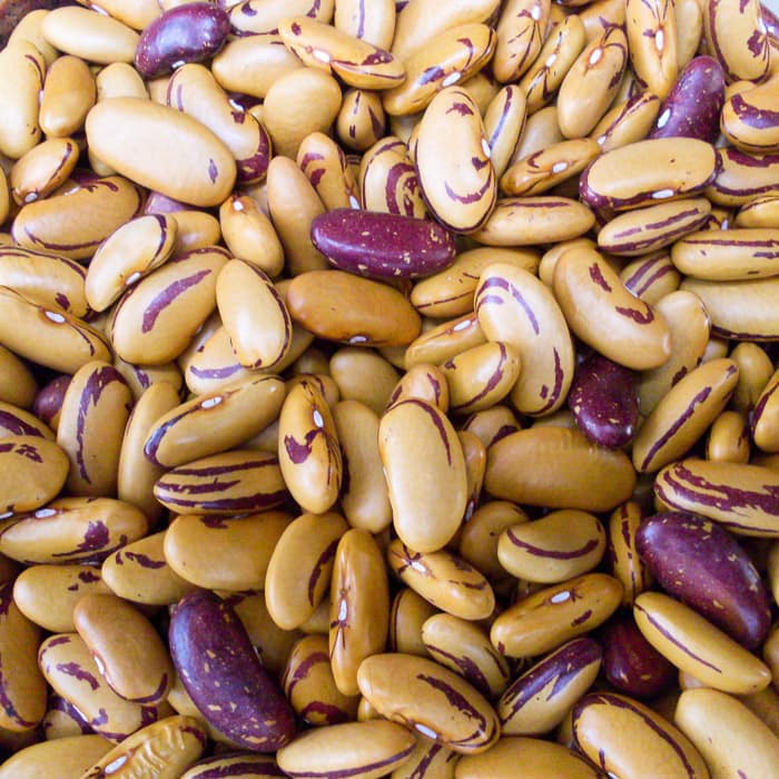 Bush Dry Bean, Tiger's Eye (Organic)