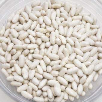 Titus Cannellini bean Titus Cannellini bean