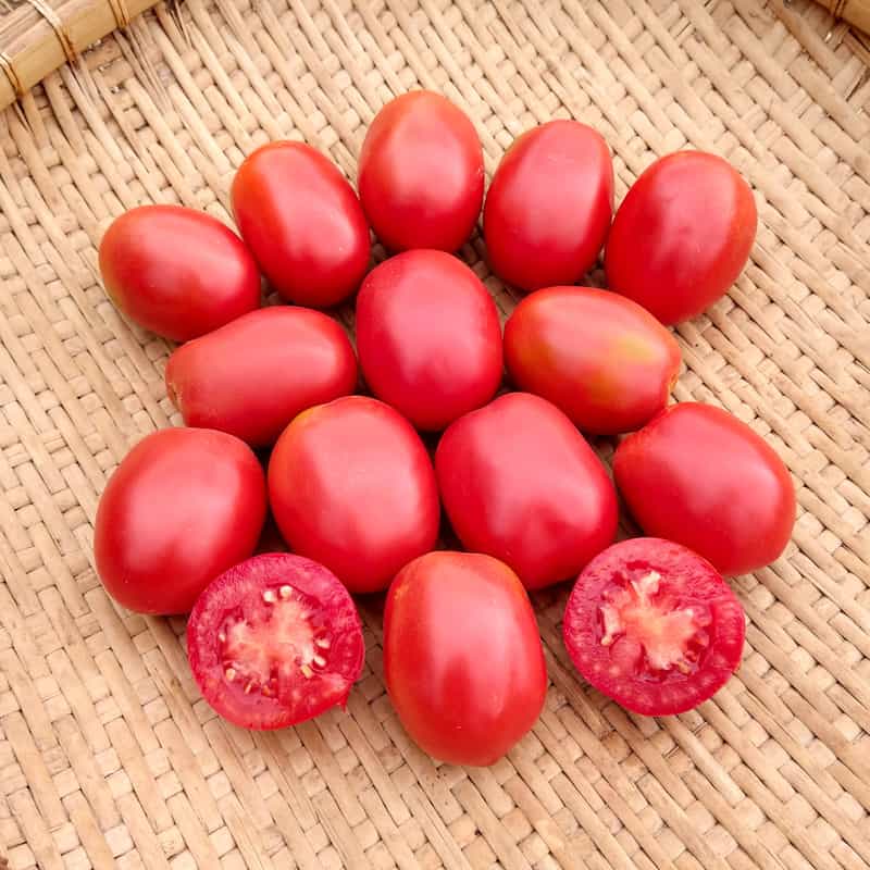 Organic Quadro Tomato seeds