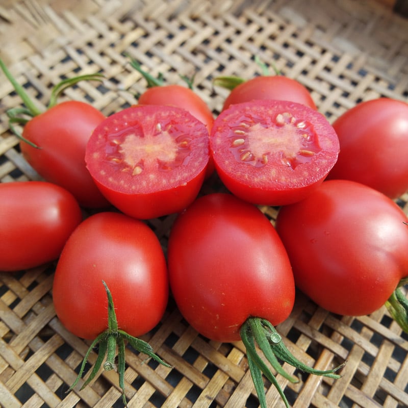 Quadro Tomato
