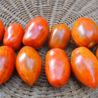 Organic Tonnelet Tomato