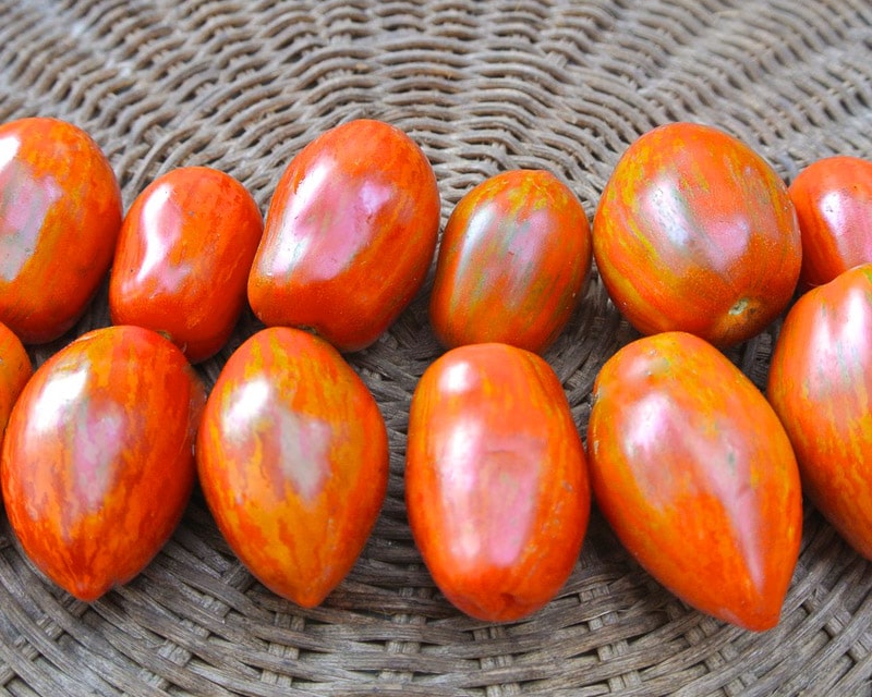 Organic Tonnelet Tomato