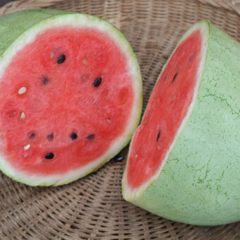 Organic Bozeman Watermelon Seed