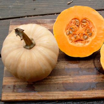 Doran Round Butternut Organic Doran Round Butternut Seed