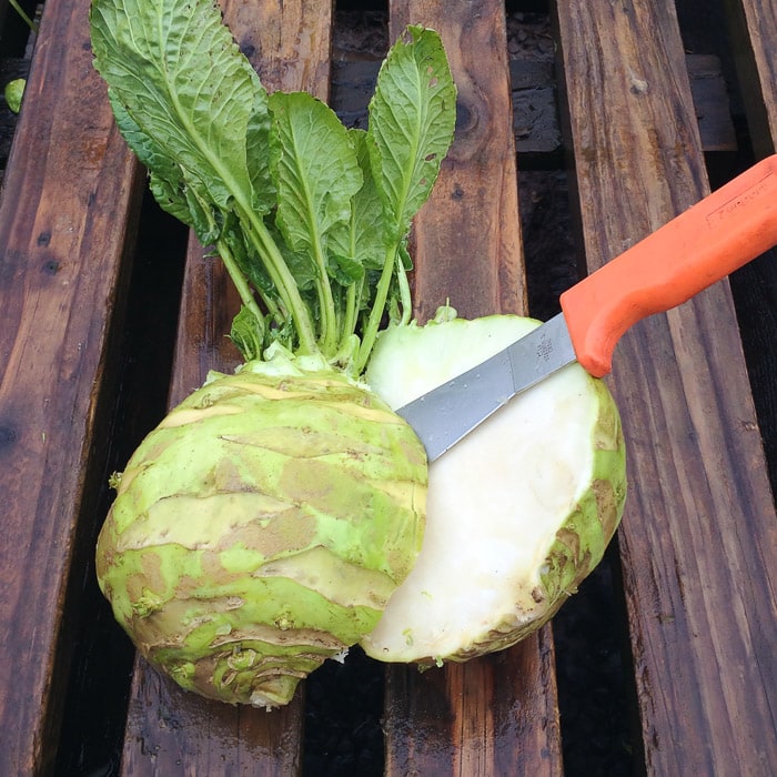 Superschmelz Kohlrabi