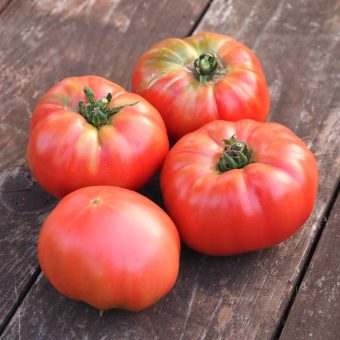 Tomato, Pruden's Purple (Organic)