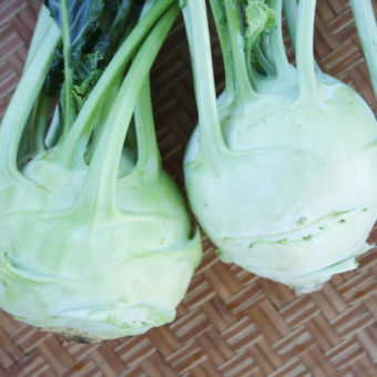 superschmelz Kohlrabi 1