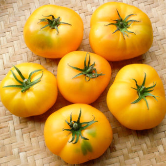 Tomato, Azoychka (Organic)