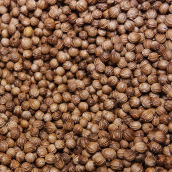 Coriander, Kanchanaburi (Organic)
