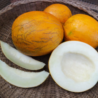 Melon, Kazakh (Organic)