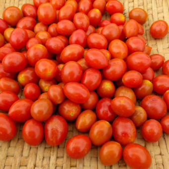 Tomato, Komohana (Organic)