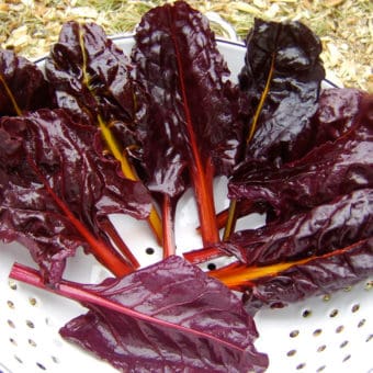 Organic Joy Larkcom's Midnight Chard seeds