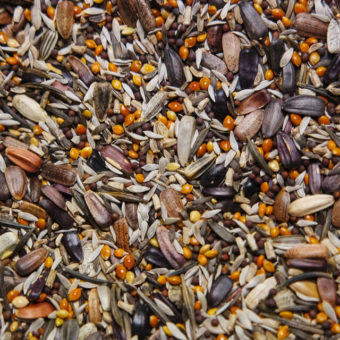 Mix, Birdfood Bonanza (Organic)