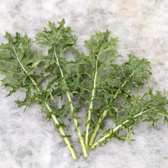 Kale, North Star Polaris (Organic)