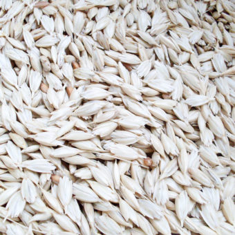 Emmer Farro