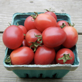 Organic Egg from Phuket Tomato seed
