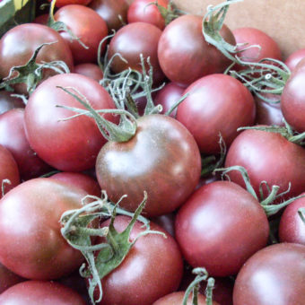 Tomato, Black Cherry (Organic)