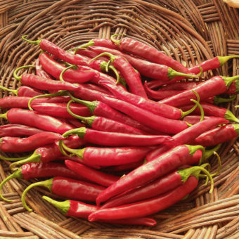 Lady Han Korean Hot Pepper
