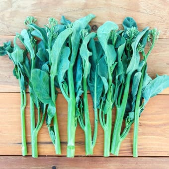 Organic Blue Star Gai Lan broccoli seed