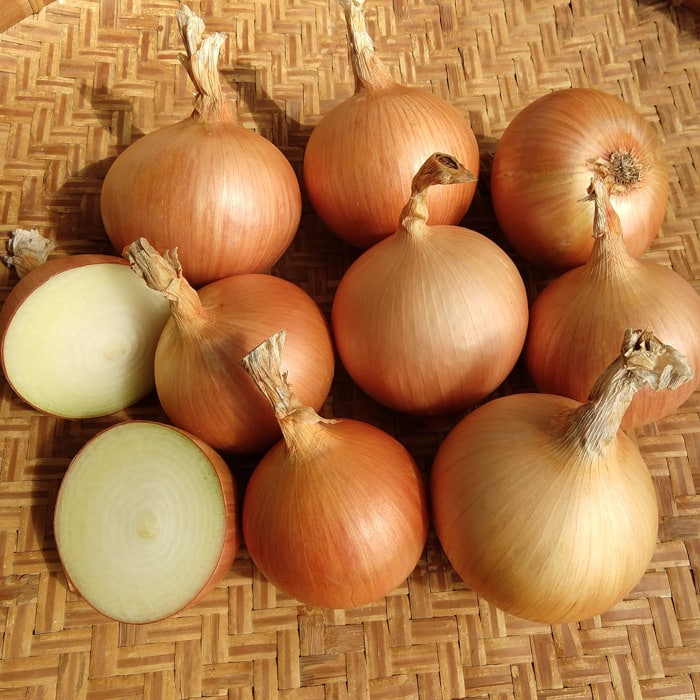 Onion, Franzisco (Organic)
