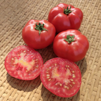 Tomato, Nevsky (Organic)